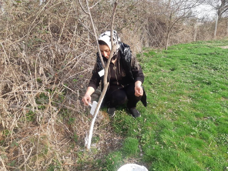 Социальный работник с Краснопартизанск, Багандова Р. О., приняла участие в субботнике, на территории Краснопартизанской СОШ