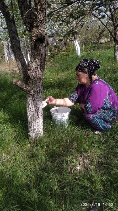 Соц. работники с. Нижнее Мулебки приняли активное участие в общереспубликанском субботнике.
