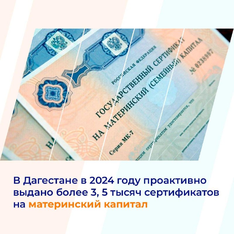 Более 3, 5 тысяч сертификатов на маткапитал выдано в 2024 году в Дагестане